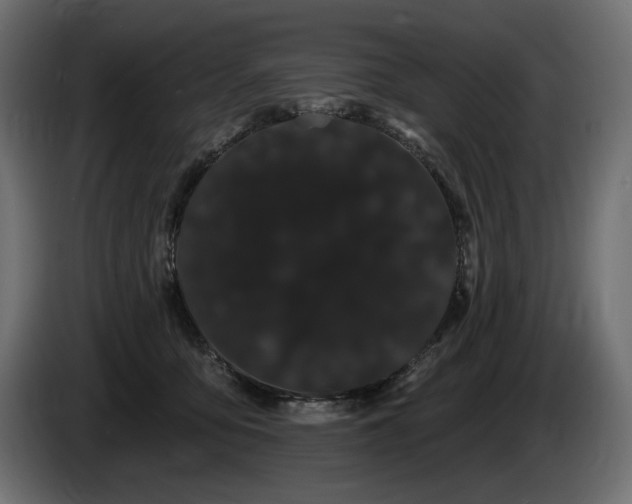 X0000085040419200703051355