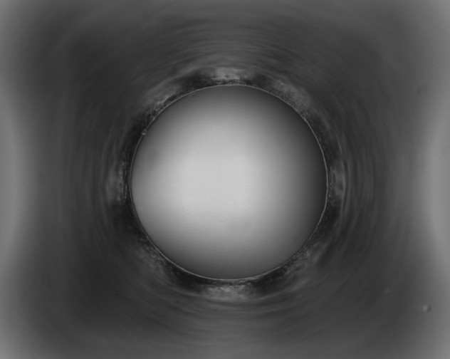 X0000085040422200703051355