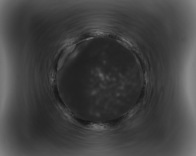 X0000085040423200703051355
