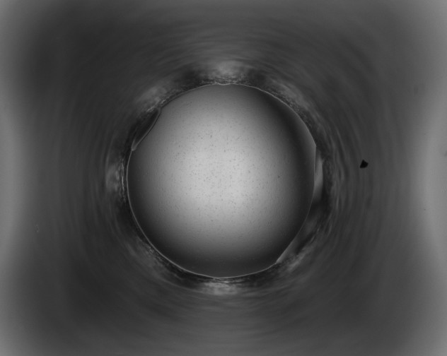 X0000085040425200703051355