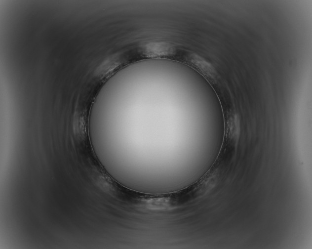 X0000085040426200703051355