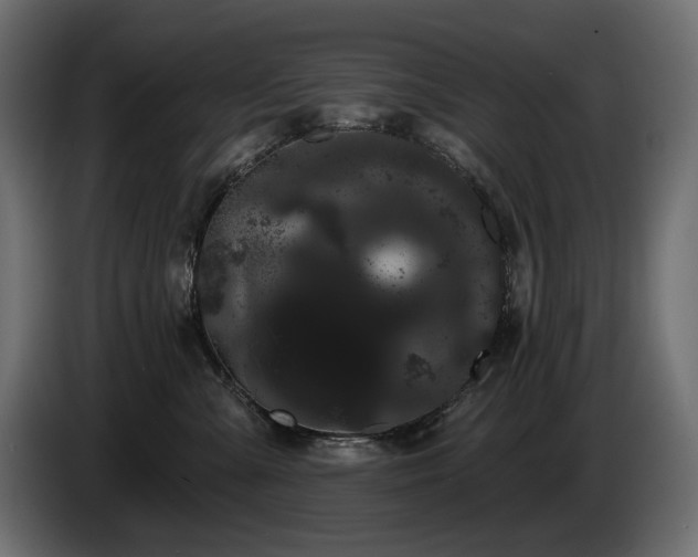 X0000085040427200703051355