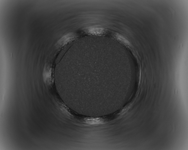 X0000085040428200703051355