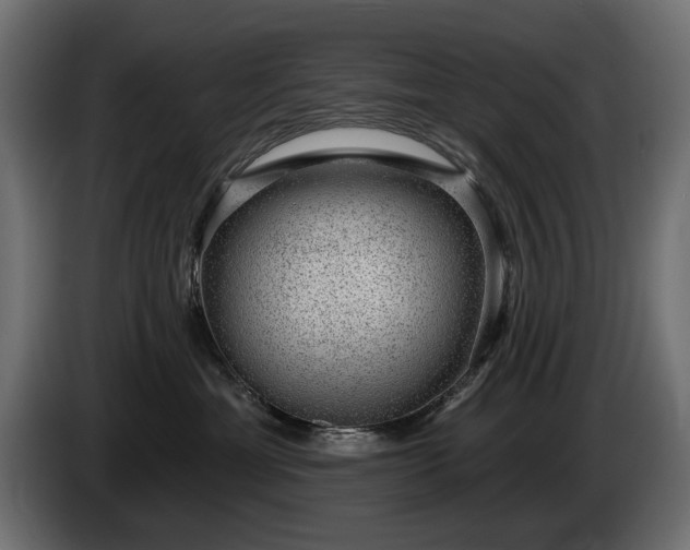 X0000085040429200703051355