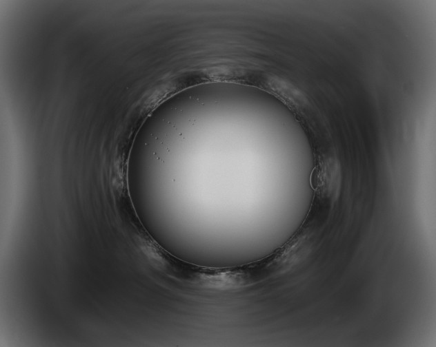 X0000085040430200703051355