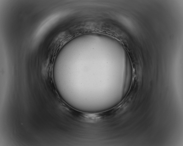 X0000085040431200703051355