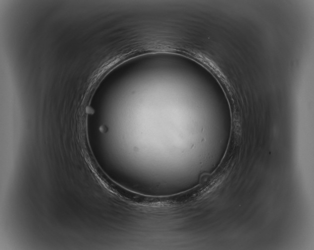 X0000085040433200703051354