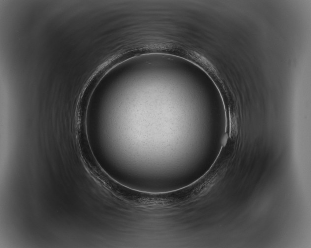 X0000085040435200703051354