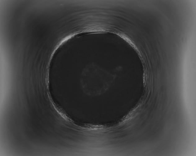 X0000085040438200703051354