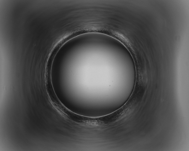 X0000085040439200703051354