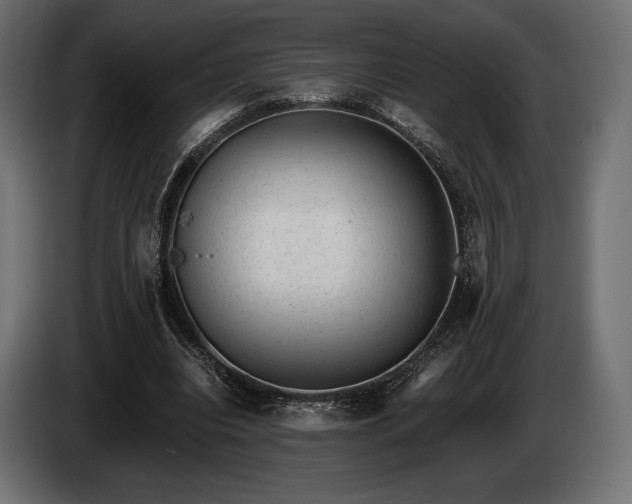 X0000085040440200703051354
