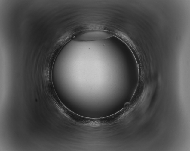 X0000085040441200703051355