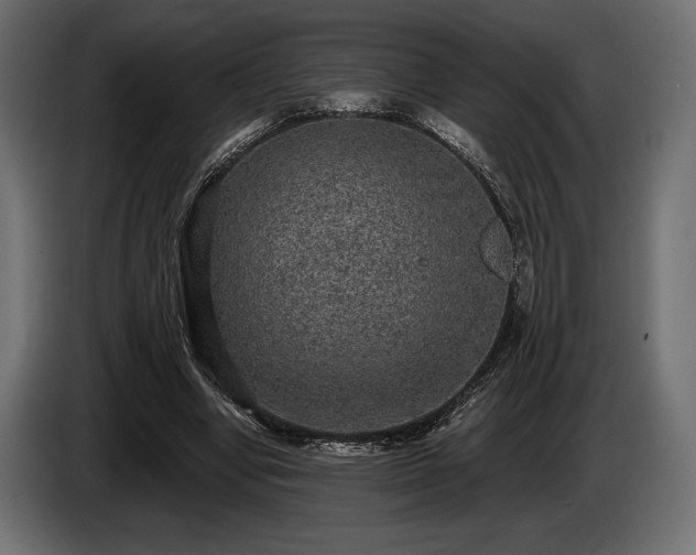 X0000085040442200703051355