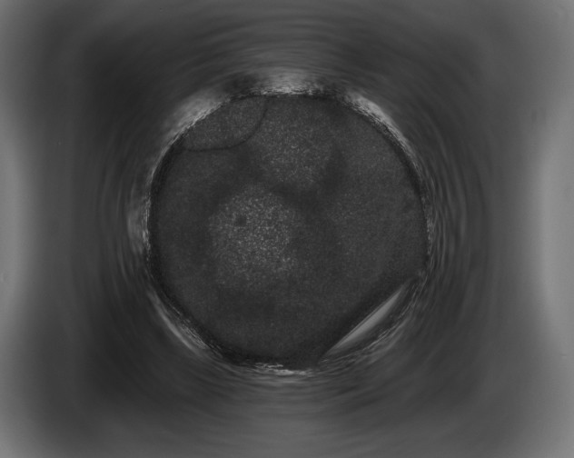 X0000085040443200703051355
