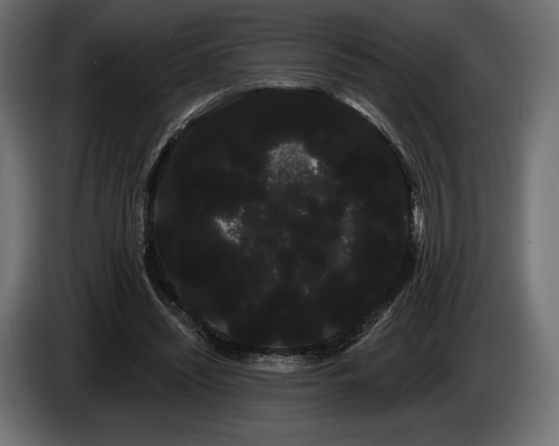 X0000085040444200703051355
