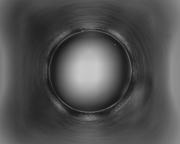 X0000085040445200703051355