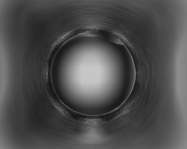 X0000085040446200703051355