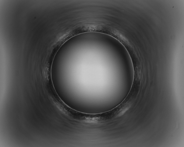 X0000085040450200703051355