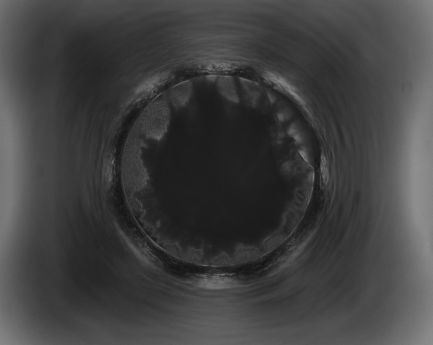 X0000085040451200703051355
