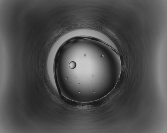 X0000085040452200703051355