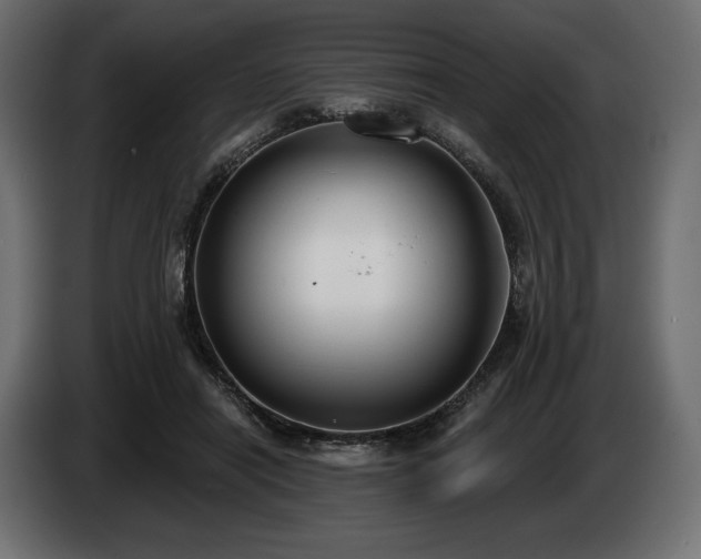 X0000085040454200703051355