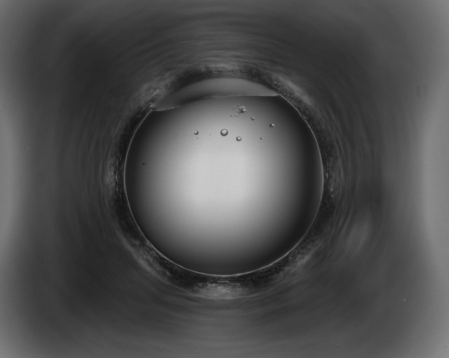 X0000085040455200703051355