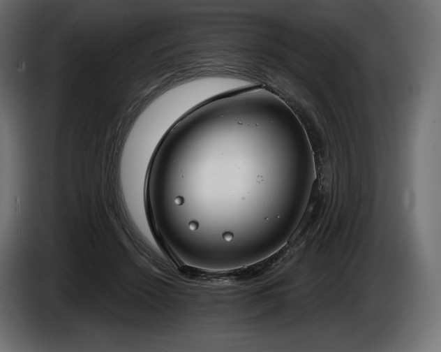 X0000085040456200703051355