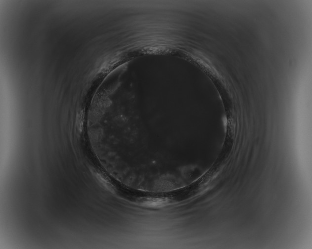 X0000085040458200703051355