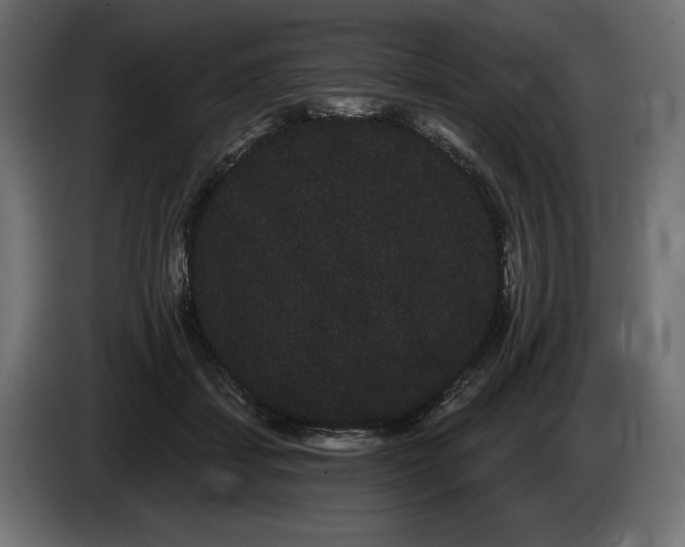 X0000085040459200703051355
