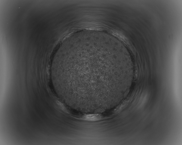 X0000085040461200703051355