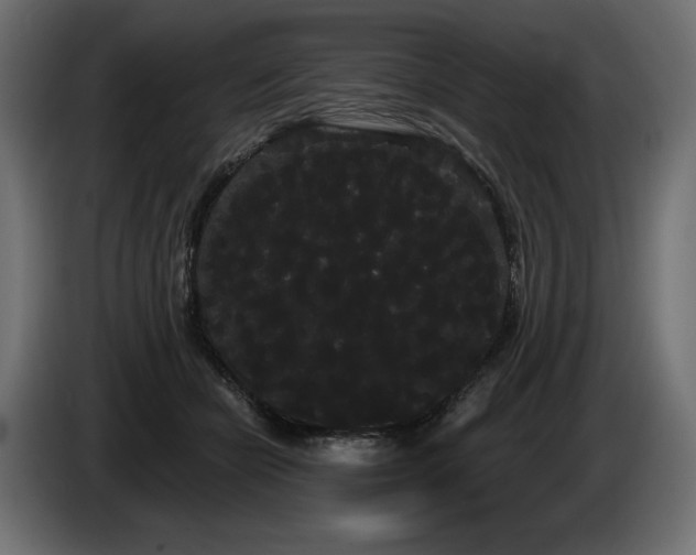 X0000085040462200703051355