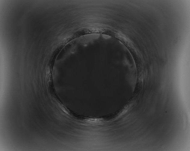 X0000085040465200703051355