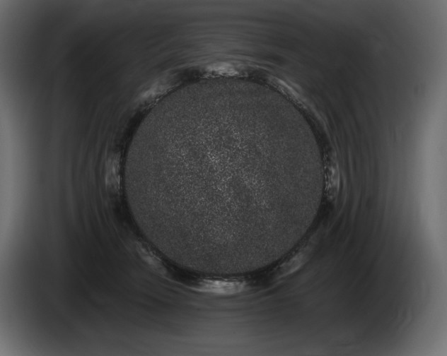 X0000085040466200703051355
