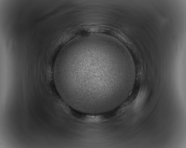 X0000085040469200703051355