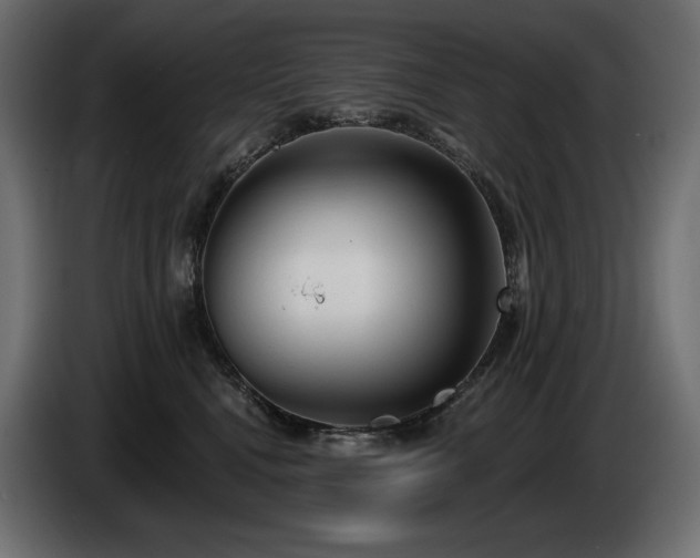 X0000085040472200703051355