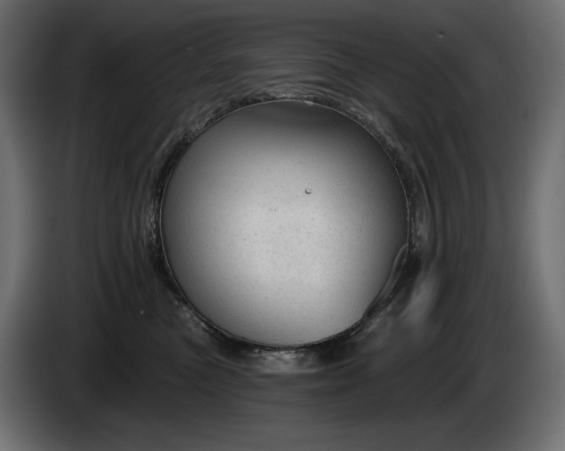 X0000085040473200703051355