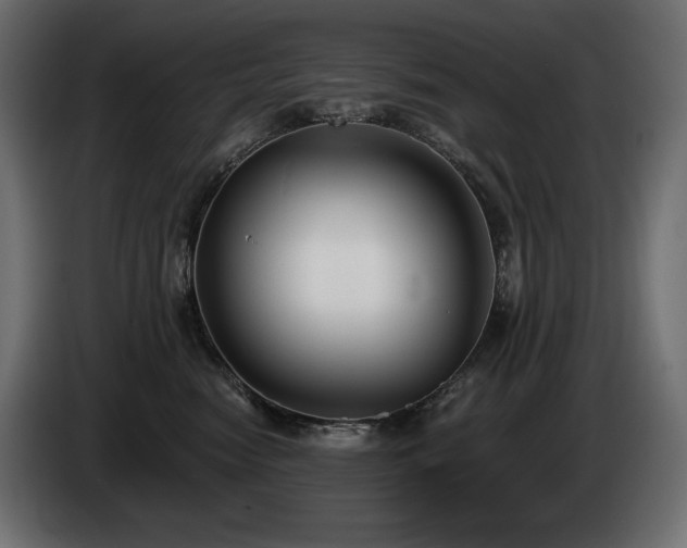 X0000085040474200703051355
