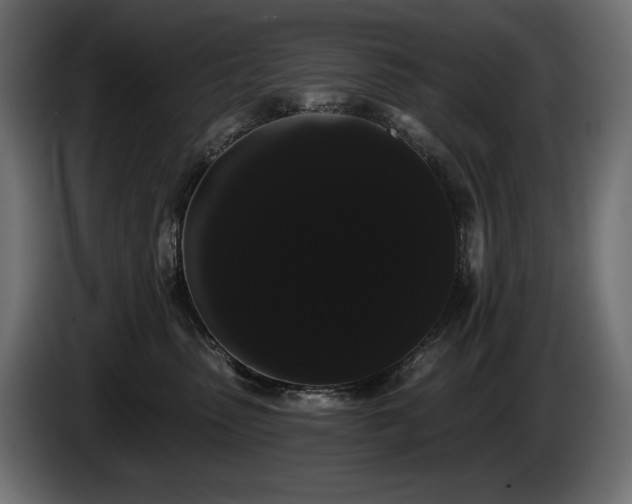 X0000085040475200703051355