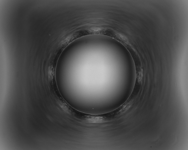 X0000085040476200703051355