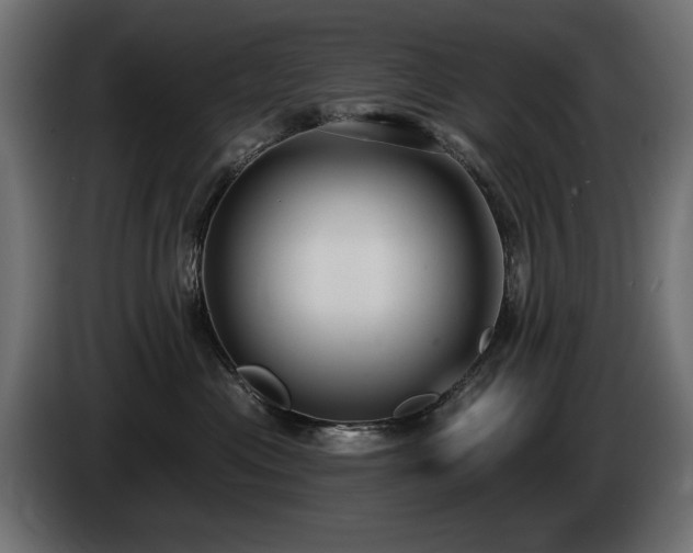 X0000085040477200703051355