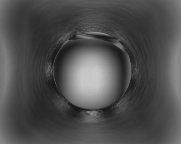 X0000085040478200703051355