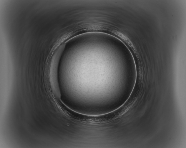 X0000085040481200703051354