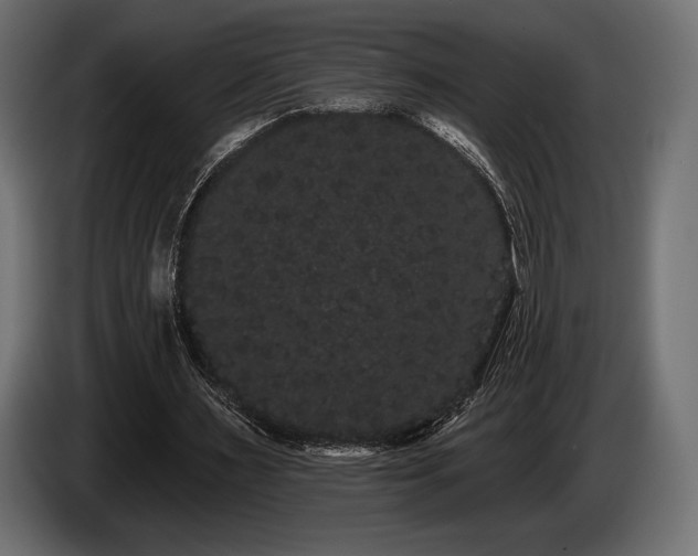 X0000085040483200703051354