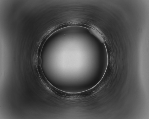 X0000085040485200703051354