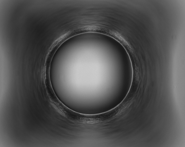 X0000085040486200703051354
