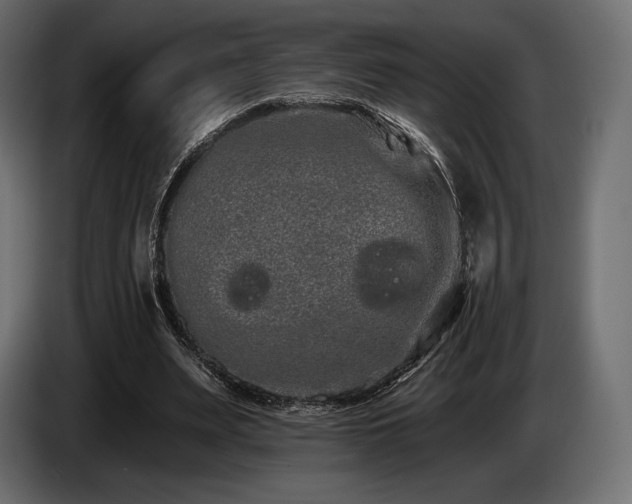 X0000085040487200703051354