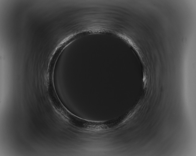 X0000085040488200703051354