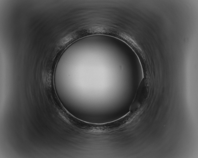 X0000085040489200703051354