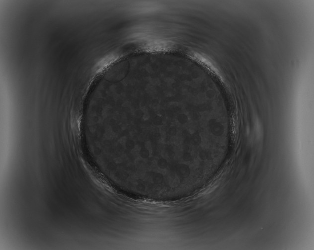 X0000085040491200703051354