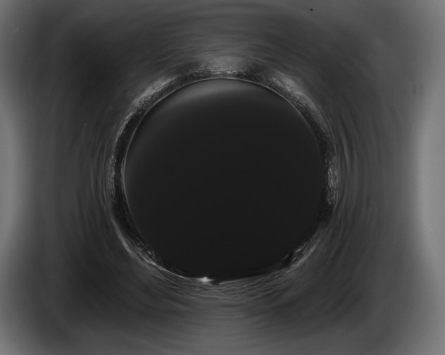 X0000085040492200703051354